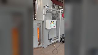 Incinerador seguro de desechos animales 1200C